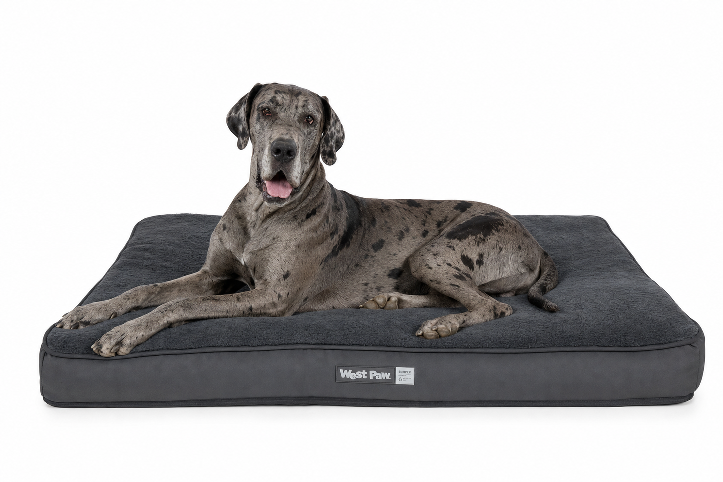West Paw Bumper Dog Bed — Recycled Fill Bolster — for Large Breeds — Great Dane, Mastiff, Bernese Mountain Dog
