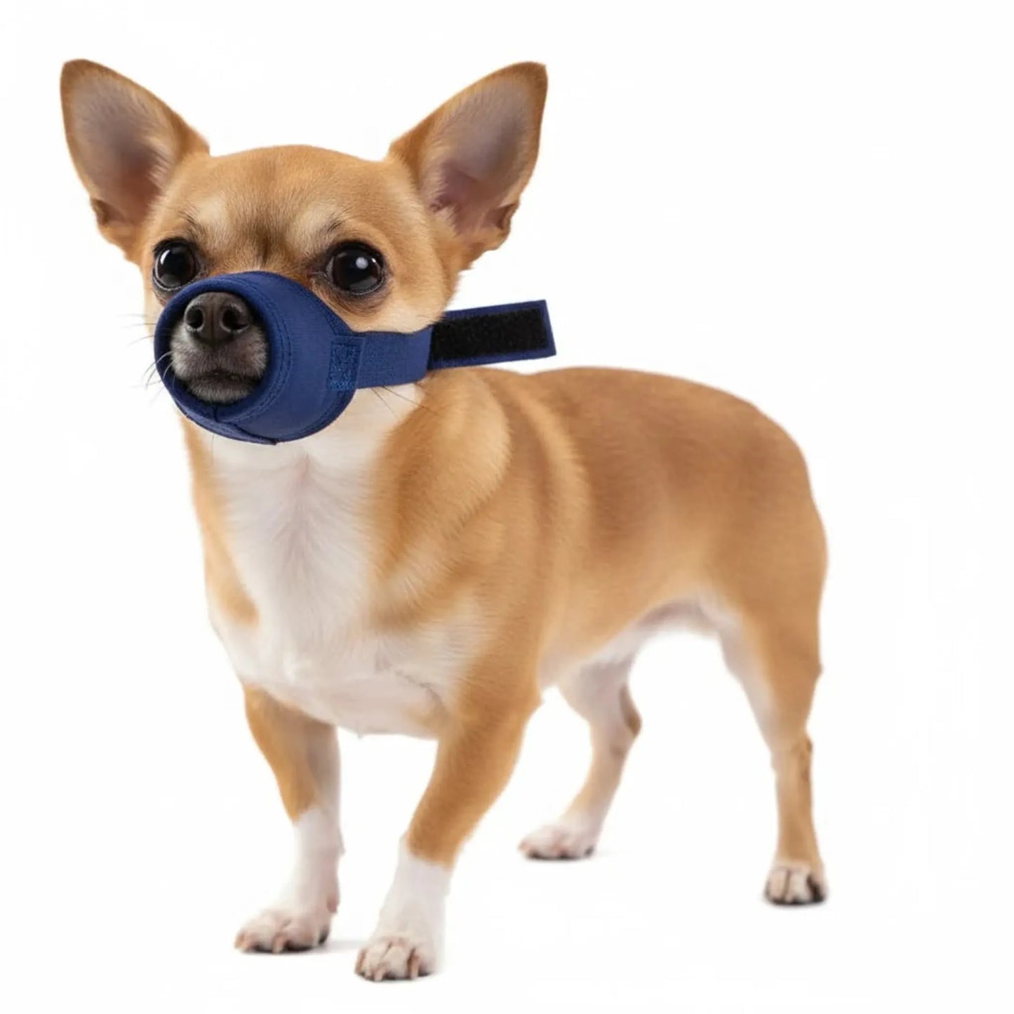 10 Pack Quick Muzzle for Dogs