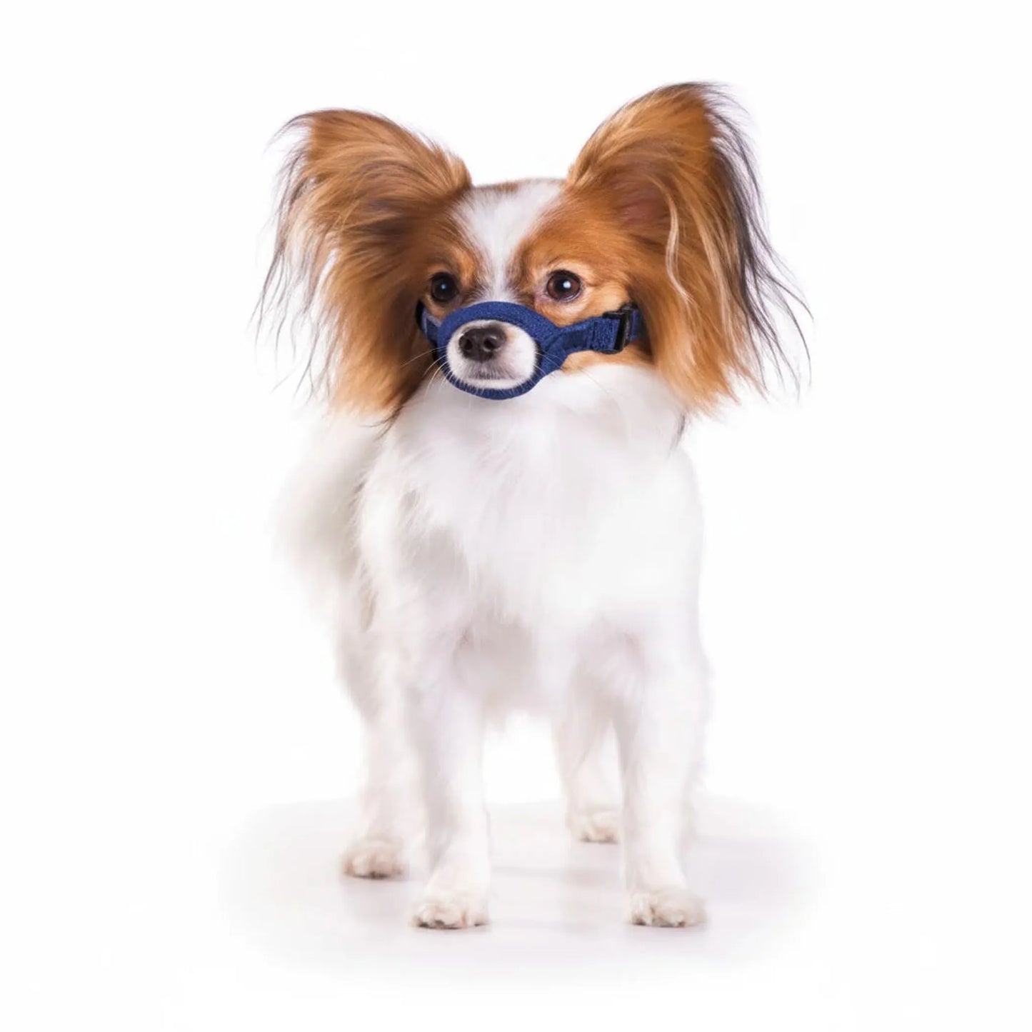 10 Pack Quick Muzzle for Dogs