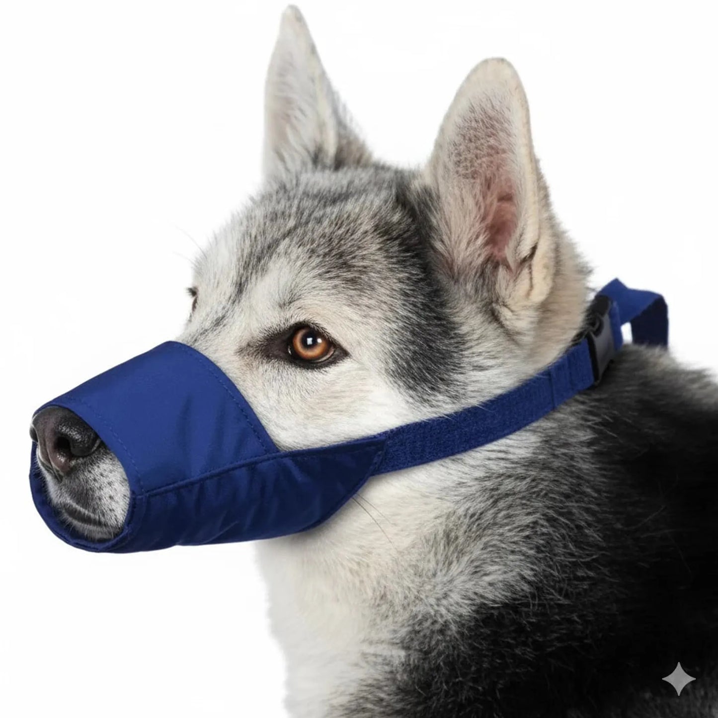 10 Pack Quick Muzzle for Dogs