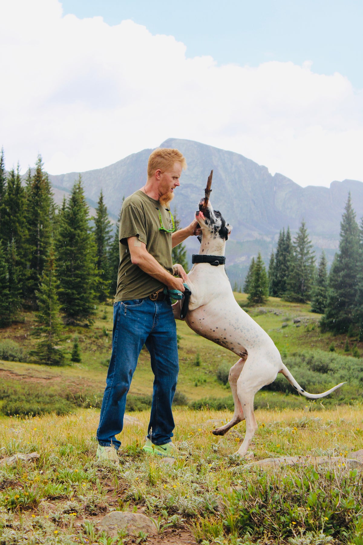 Owner playing with large dog in the mountains