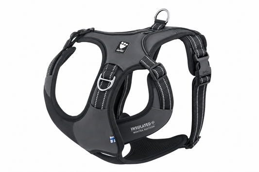 Hurtta Padded Y-Harness — Insulated Winter Edition — for Large Breeds — Great Dane, Mastiff, Rottweiler, German Shepherd